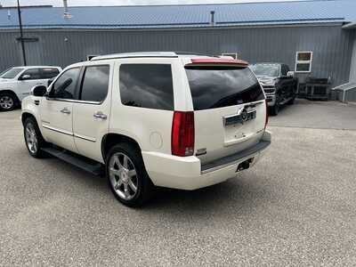 2009 Cadillac Escalade Standard
